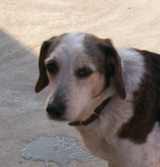 100_1928Perla.jpg
